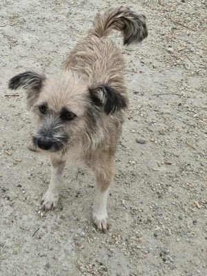 551316672 4323331811232778 1025224155043117276 n