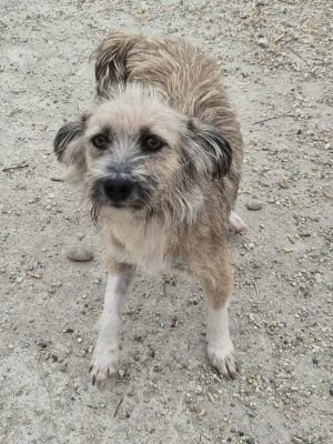 551331597 25154982310774528 3234534495842410338 n