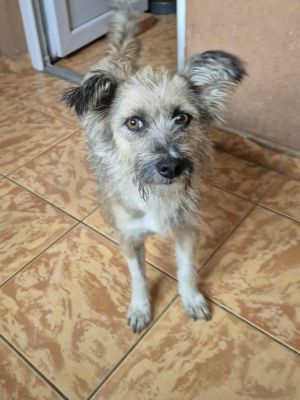 551419815 1343233234037219 6135817514700411646 n