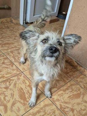 551606211 1146511850812152 1010465896091173533 n