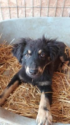 551760521 826649876449555 1510831568656722417 n