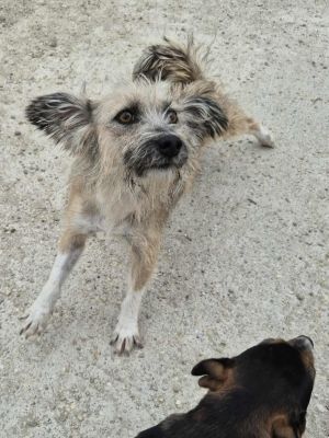 551812132 1115478926901552 3294307548126987915 n