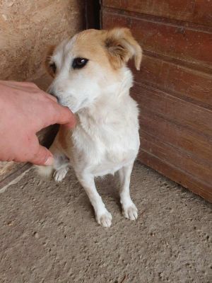 551977628 2830035837183148 2477381711143072907 n