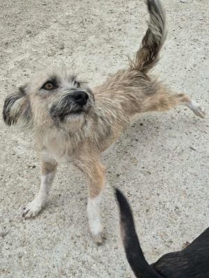 552074564 759843227082903 2081203986416069344 n