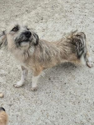 552081924 1496655951530005 1571836277880755160 n