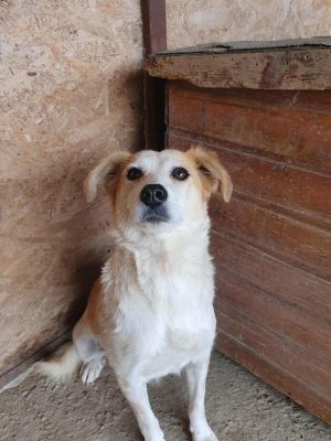 552140438 1458974698694896 6128944828405075908 n