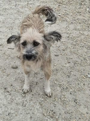 552212813 761105520019781 8988480036572291615 n