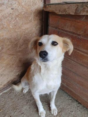 552326529 1467551541163789 2317994051223504308 n