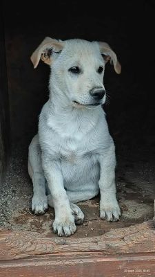 552396776 2205429636893632 8279012593136363355 n