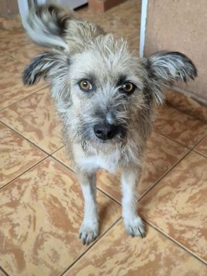 552421607 820649743756708 4452310894002021890 n