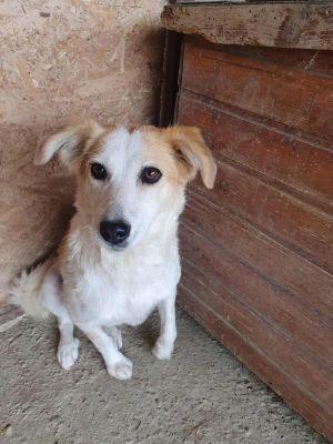 552468915 2046494872756349 427606419332609288 n