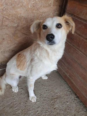 552529597 1337382714399298 5672082710404465145 n