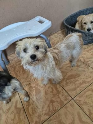 552535735 1205219174957117 6225137837282246794 n