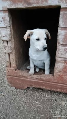 552562585 653952367786257 5452263935900185080 n