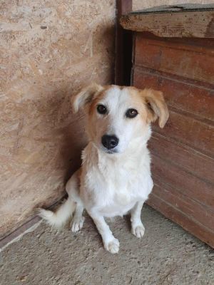 552631577 775239108470926 2040981901272350 n