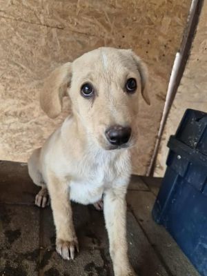 552765039 1128300375588755 3029229946969247057 n