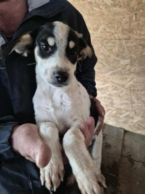 552875383 3846352768995788 8956843202368143064 n