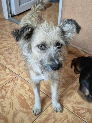 552881957 1844584276440883 5328976068947605660 n