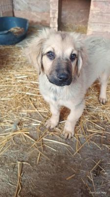 552977413 2627027777631967 9087699910086685961 n