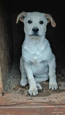 553012785 1345173416980255 7228755663317492136 n