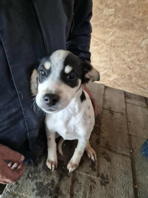 553014595 1734951987221238 353790563119382751 n