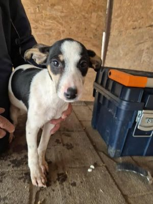 553193443 762364859952978 5570373019055780973 n