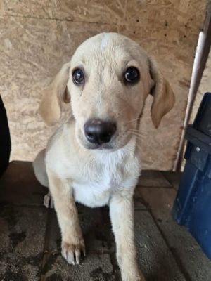 553197133 1837720040498462 96479880263382698 n