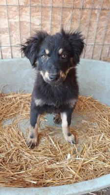 553205866 831969212736548 4299068165385735466 n