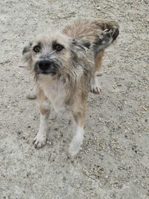 553212857 784136481071315 6172060799296437565 n