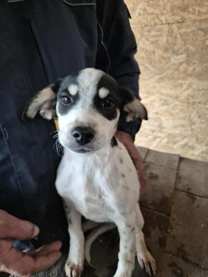 553215581 815171378132842 7781079159132571868 n