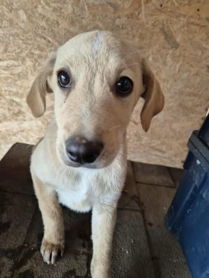 553226161 24229048703444861 3851286406256933599 n