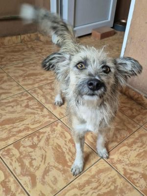 553279661 1299866354848276 3797000779226383130 n