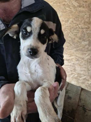 553401153 1251840119962114 5768668821146912072 n