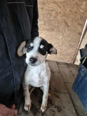 553470565 1137023457846759 4802836781690631106 n