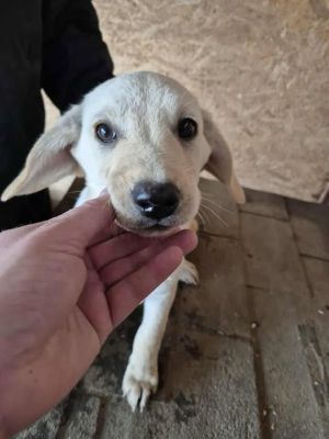 553603869 580039601865174 770858214649458572 n