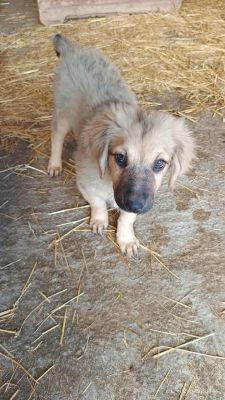 553654243 2266879470414746 9083328943078475786 n