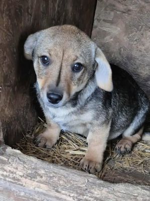 553682124 1872102570327415 5502309602756014913 n