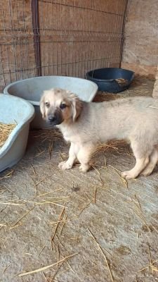 553687560 823848160103190 1214045904235839822 n