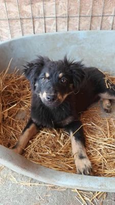 553711804 827028769893062 4464850780132390623 n