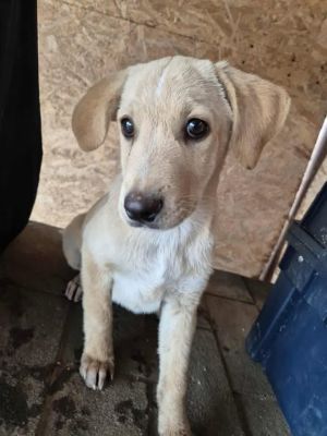 553723973 1328646102175983 7391747900830165944 n