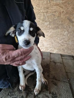 553804923 1439622997113560 5708485915813099252 n