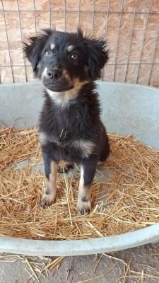 553952614 3099599810220877 3738034589140105153 n