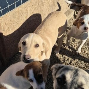 554057376 815664624505306 9017878497255121456 n