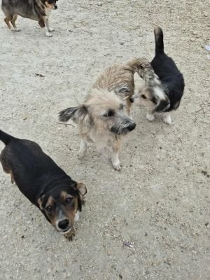 554217033 1419733105781386 731527440311401880 n