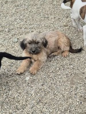 554553186 1481801133128189 4789108051976058937 n