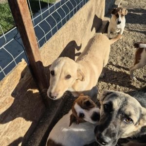 554727444 1560450854947798 729578872557085038 n