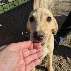 554736145 1154434966662020 2412541603191370694 n