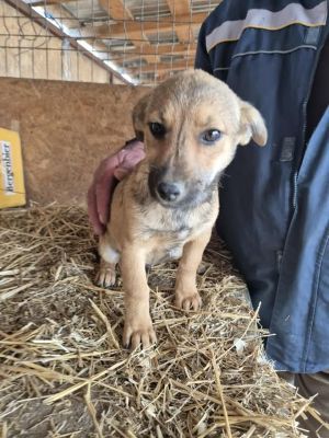 555552882 1099539182251685 2247581861413248565 n