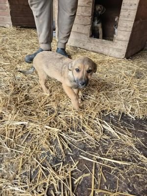 555970876 1469863887465735 7907731723252156248 n