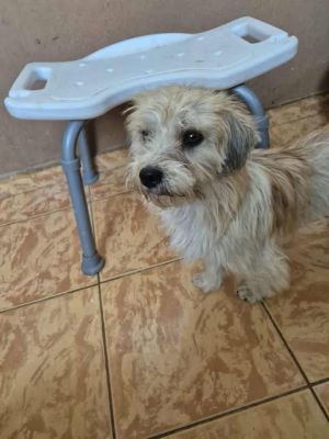 555970876 4150165215195678 5438356772944845746 n